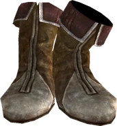 ClothesPsiijicBoots