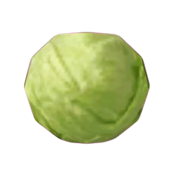 Lettuce (Oblivion)