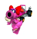 Birdo mkcr