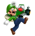 Luigi mkcr