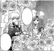 A3 elegance