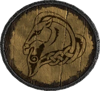 WhiterunGuardShield