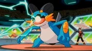 P09 Swampert de bruno