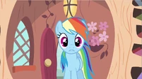 Rainbow Dash see weird S2E20