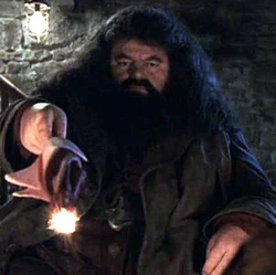 Bacchetta-di-Rubeus-Hagrid
