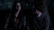 PLL207 (13)