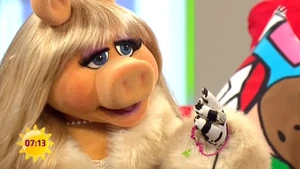 SAT.1-Frühstücksfernsehen-Piggy'sWristbandFromSimonePanteleit-(2012-01-20)