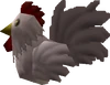 Oot cocotte