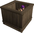 A player inside the crate.png