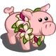 Hibiscus Pig-icon