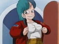 Bulma3-1