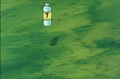 Capsule 7