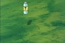 Capsule 7