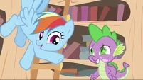 Spike and Rainbow S2E20