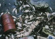 Garbage Island