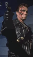 T2-set-arnold-011