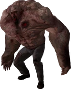 Pewtis