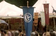 House Arryn tourney