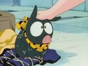 P-chan-ranma-1-2-5250854-477-358.jpg
