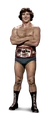 Jack Brisco Full