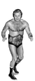Nick Bockwinkel Full