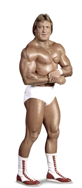 Paul Orndorff Full