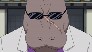 Hippo
