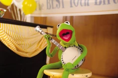 Kermit 02