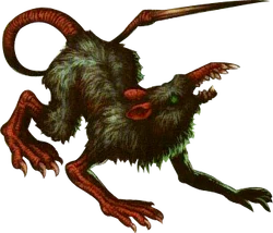 Rat