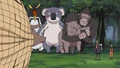 Animal love square.png