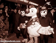 SW Premiere 1