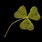 Inx Clover