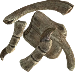 TESV Dragon Bone