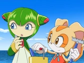 Cream and cosmo