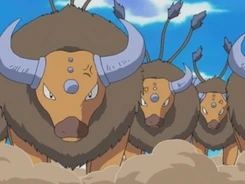 EH14 Tauros de Ash