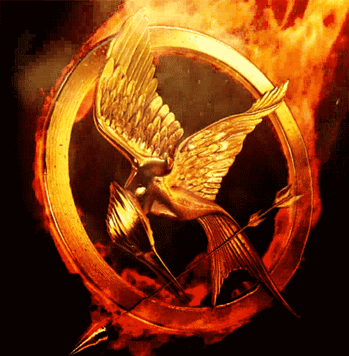 http://images3.wikia.nocookie.net/__cb20120317155837/thehungergames/images/1/16/Mockingjay_on_fire.gif