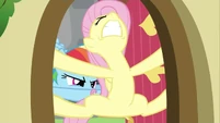 Rainbow Dash struggling Fluttershy door 2 S2E21