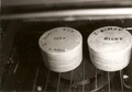 Spock's ear molds.jpg