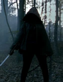 Michonne1