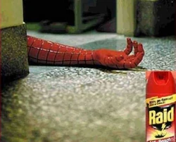 Raid-is-spidermans-killer