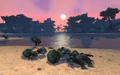 KrasarangWilds6.jpg