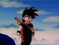 Gohan245