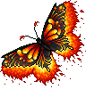 RedAsaentoButterfly.png