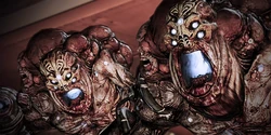 Codex Cannibal