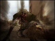 Marsh Bloodsucker eating