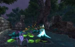 KrasarangWilds4