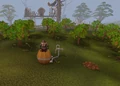 Mashing apples.png