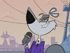 Wolf Spitzer