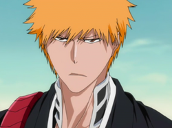 Ichigo Shikai perfil.png