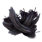 Inx Raven Feathers